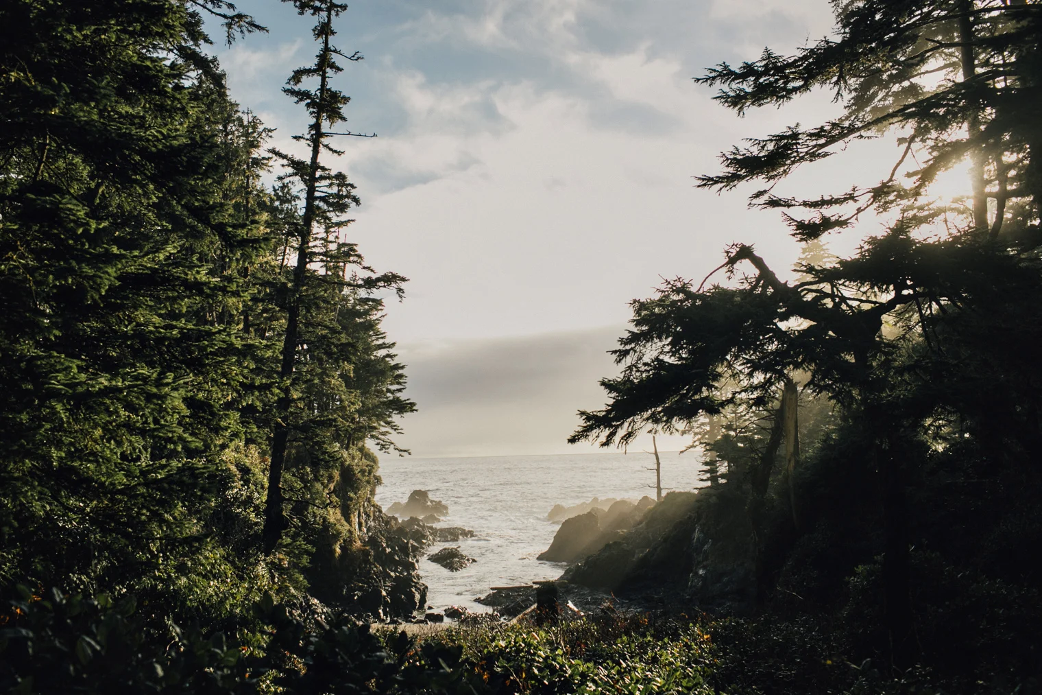 Ucluelet-Black-Rock-Resort-Hike-1-31.jpg