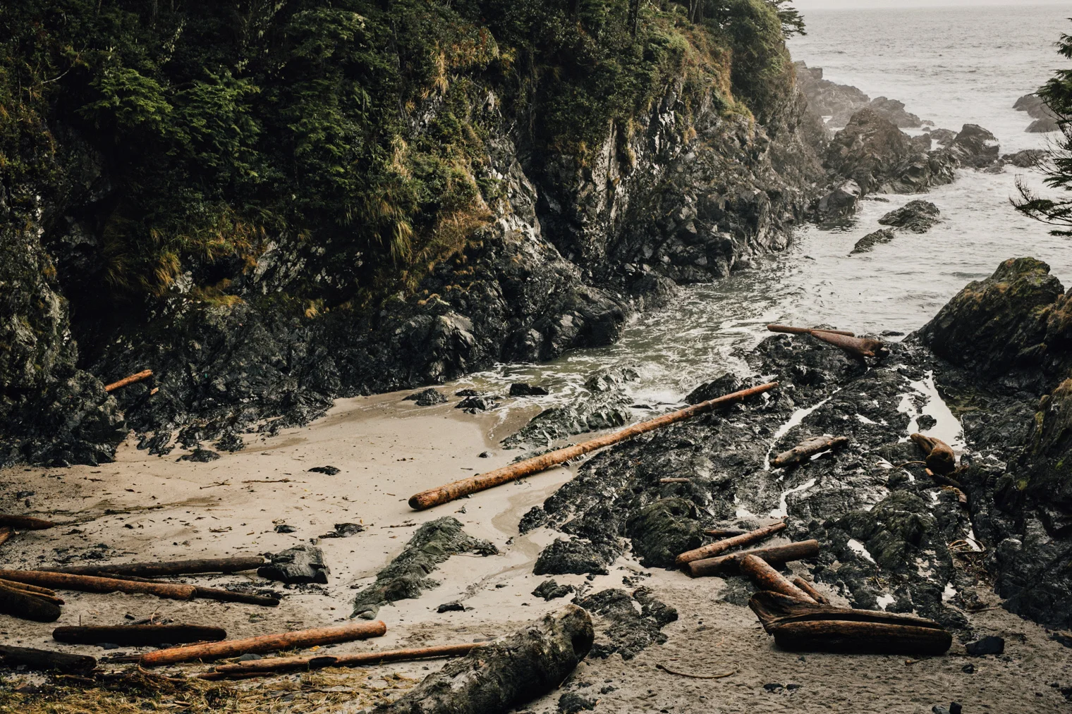 Ucluelet-Black-Rock-Resort-Hike-2.jpg