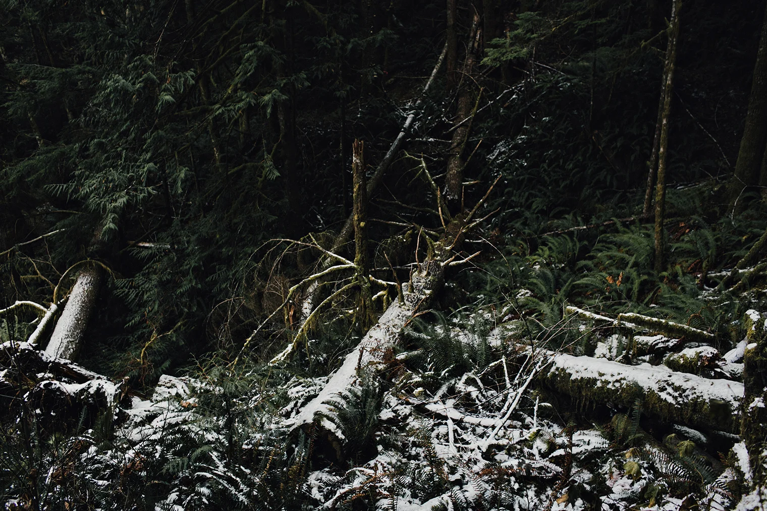horne-lake-caves-vancouver-island-photos-0009.jpg