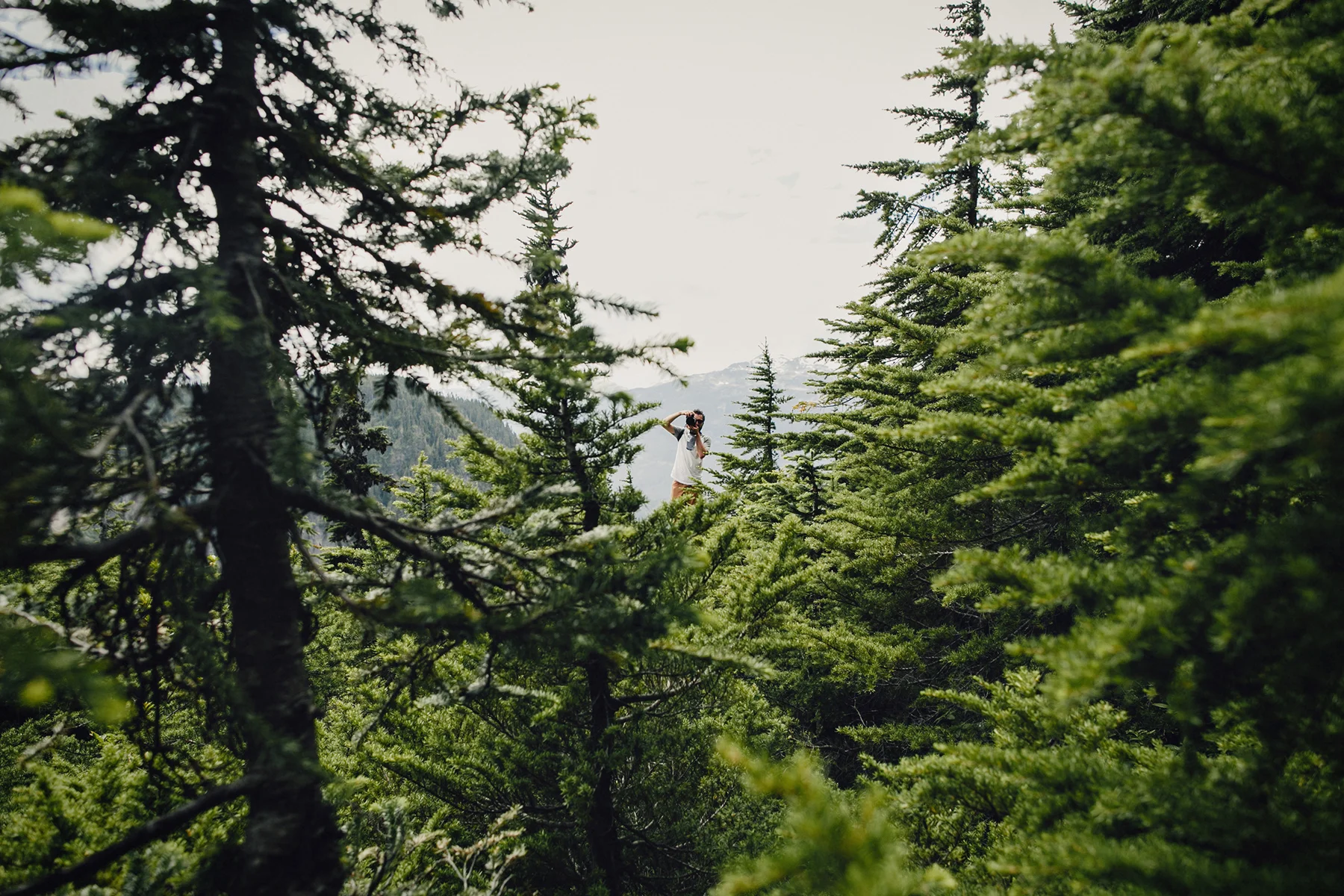black-tusk-hike-garibaldi-provincial-park-photo-0017.jpg