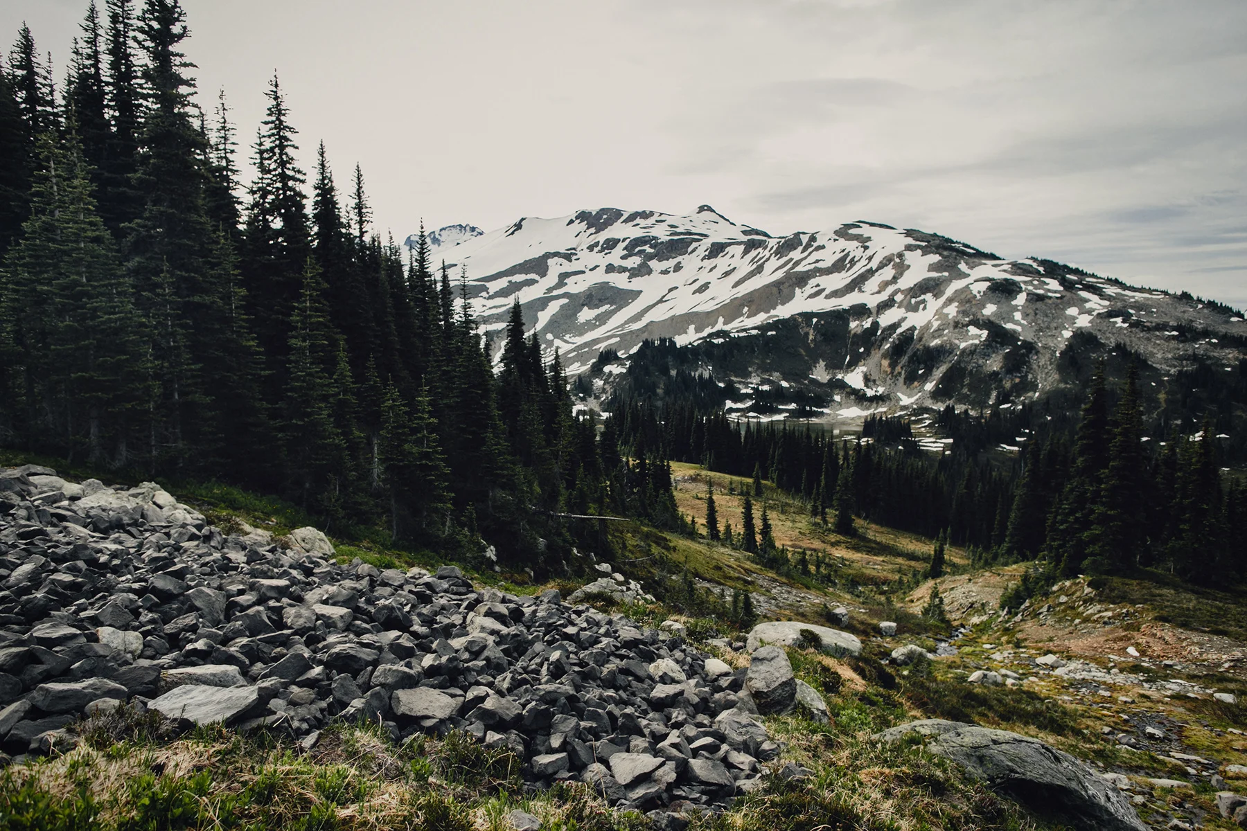 black-tusk-hike-garibaldi-provincial-park-photo-0159.jpg