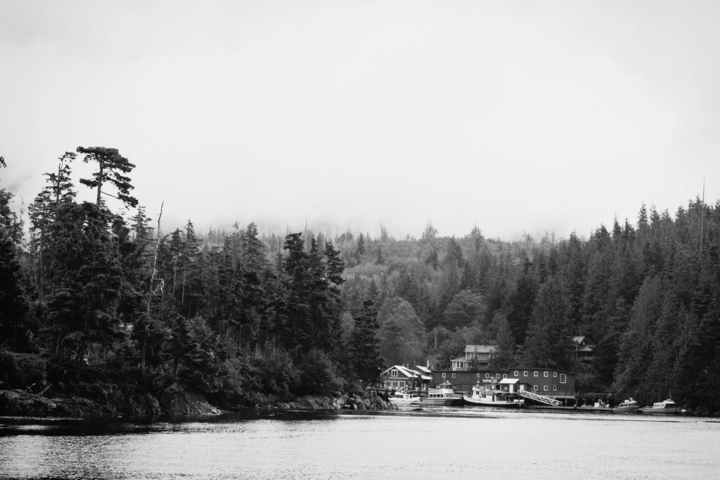 whale-watching-telegraph-cove-00071.jpg