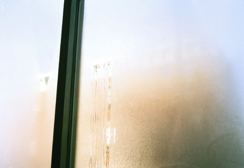   Bergen Street, Brooklyn, 2013  