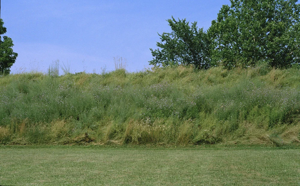   Driving Through Smithfield, Smithfield, 2012  