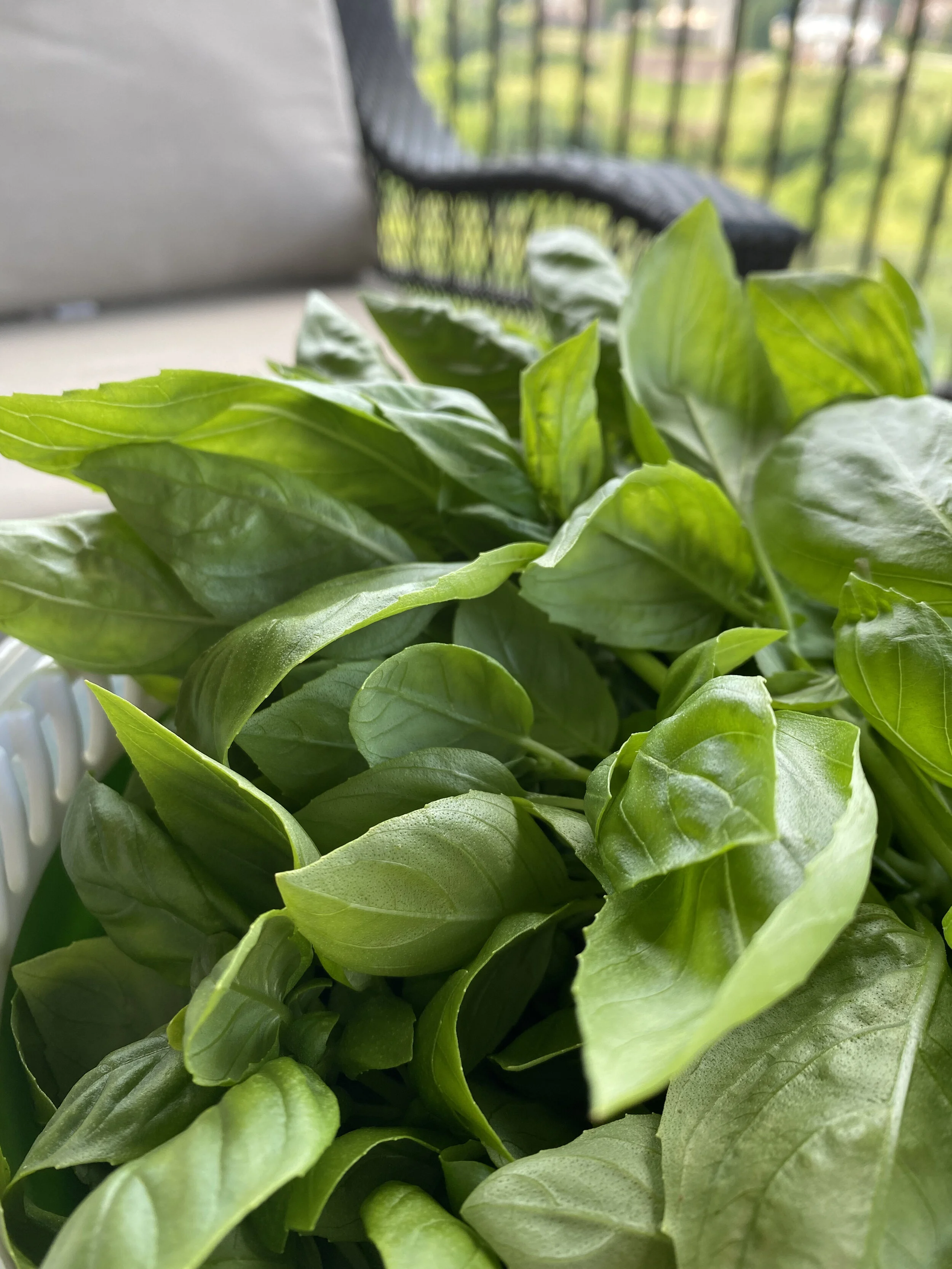 Basil Pesto 