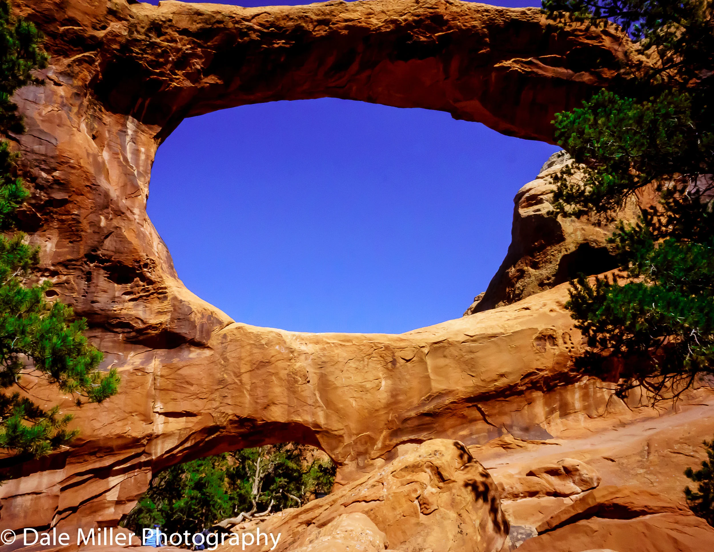 Double O Arch