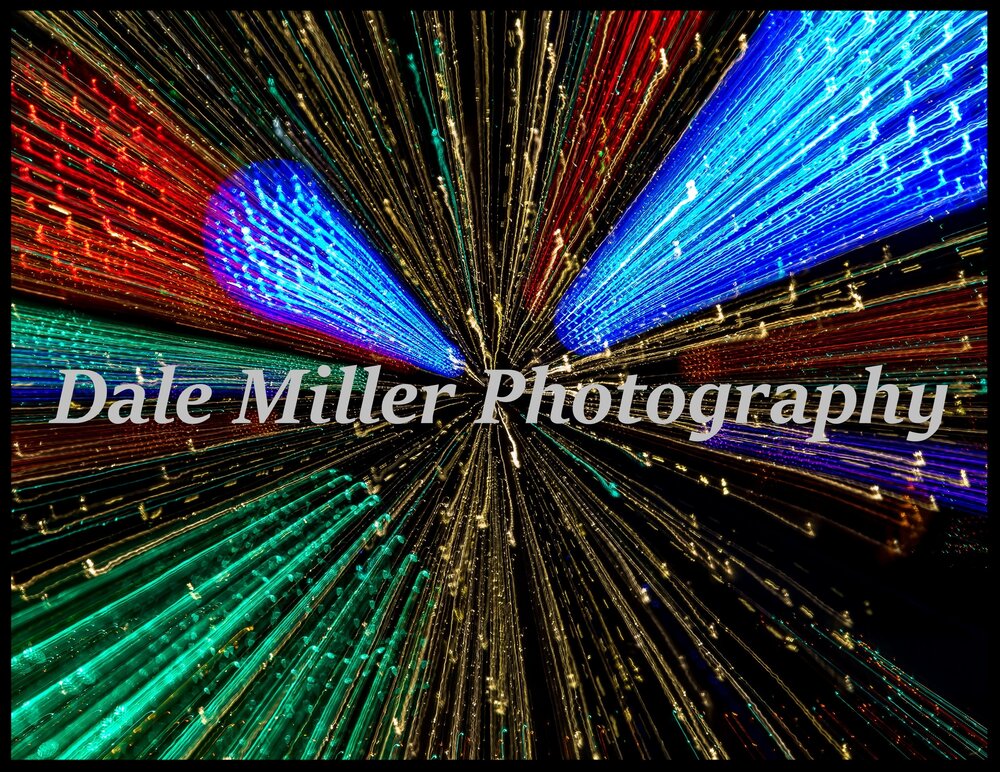 Dale Miller Photography