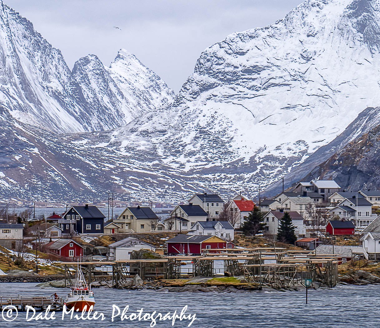 Reine