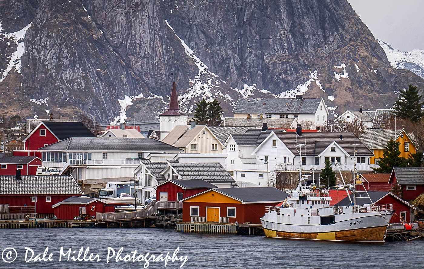 Reine 3