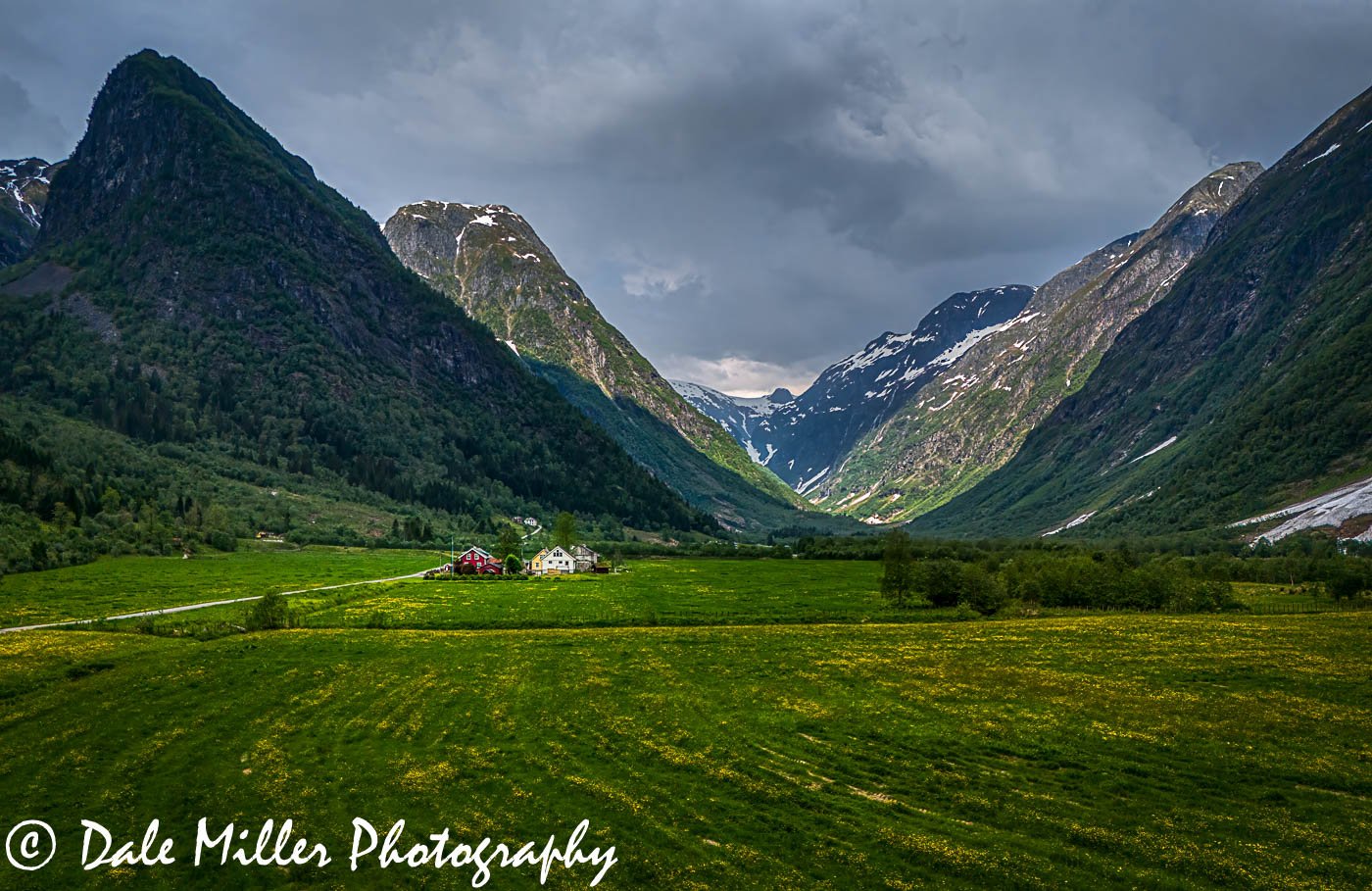 Valley of flowers
