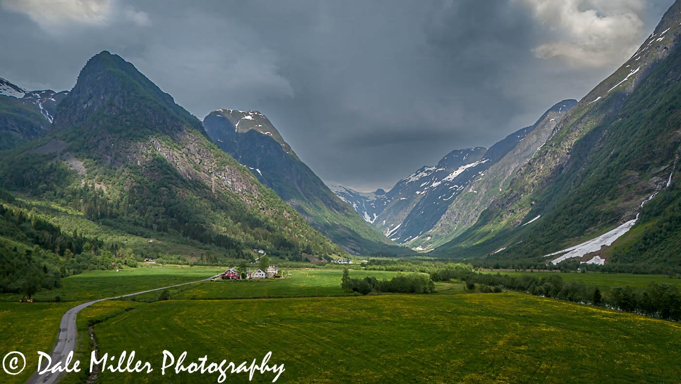 Valley of Flowers 2