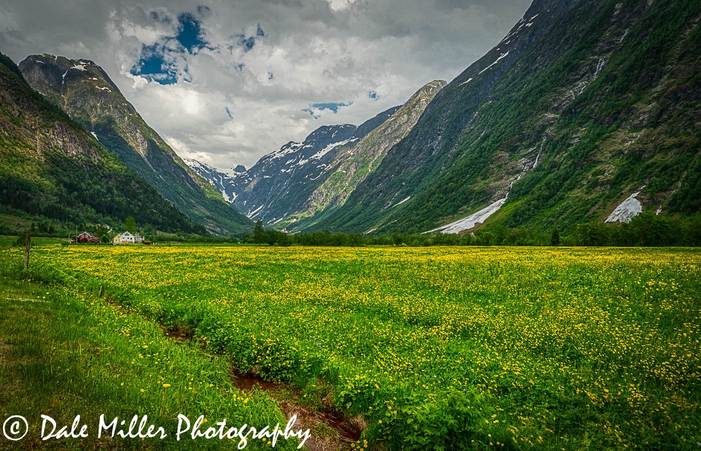 Valley of Flowers 3