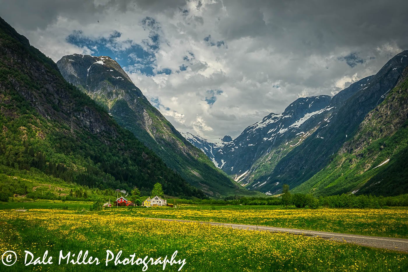 Valley of Flowers 4