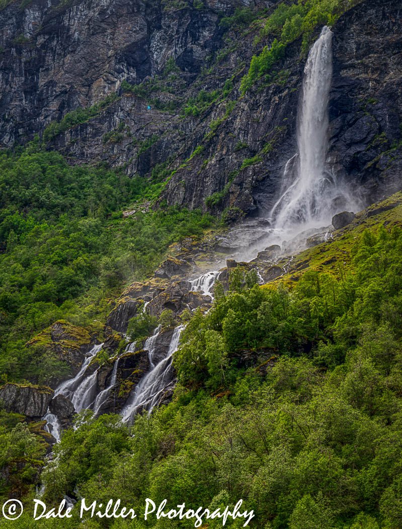 Flam 4