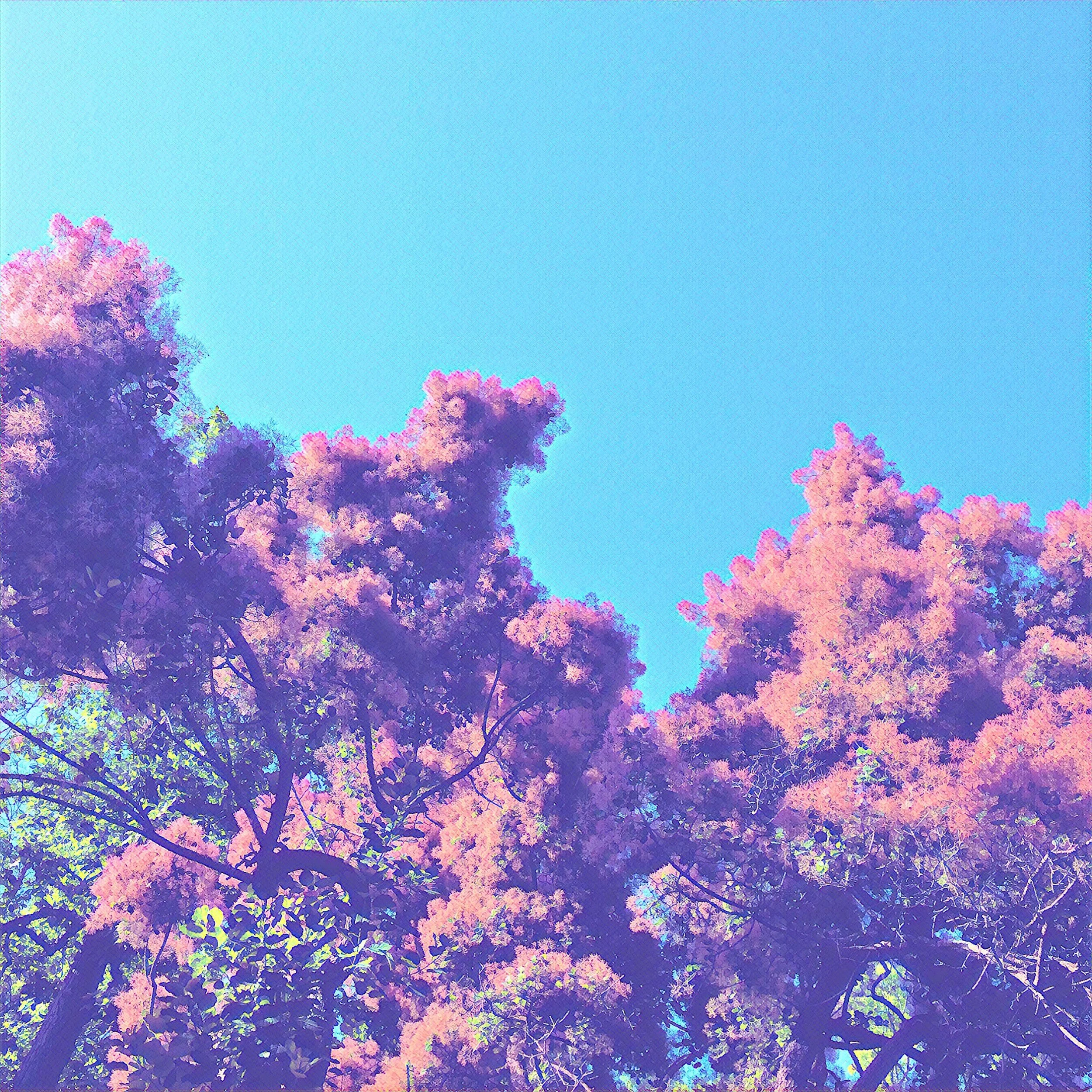 IMG_0709.jpeg