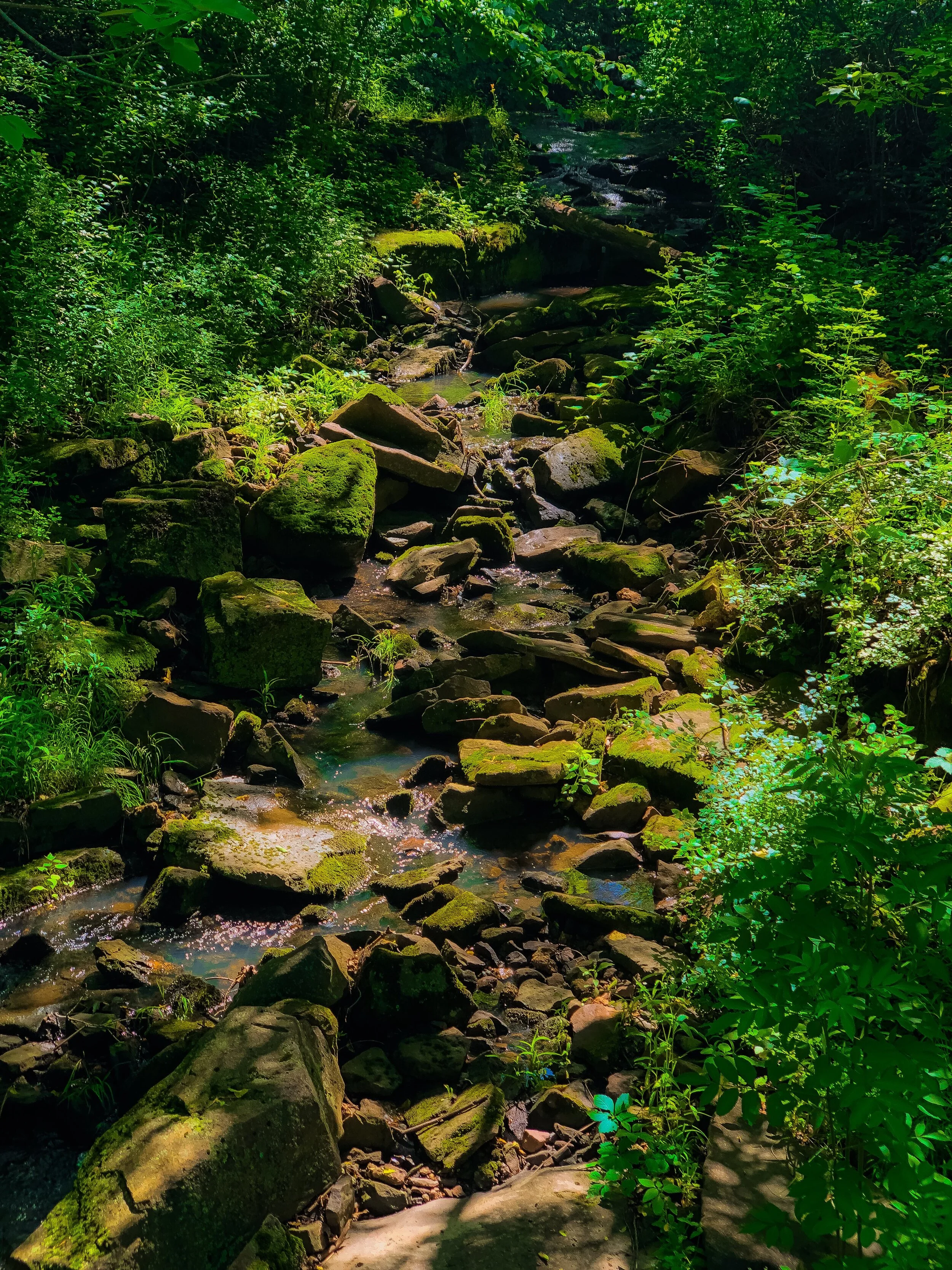 FE6FD6C6-4ADB-4E47-B006-7BE4F6FA1D48