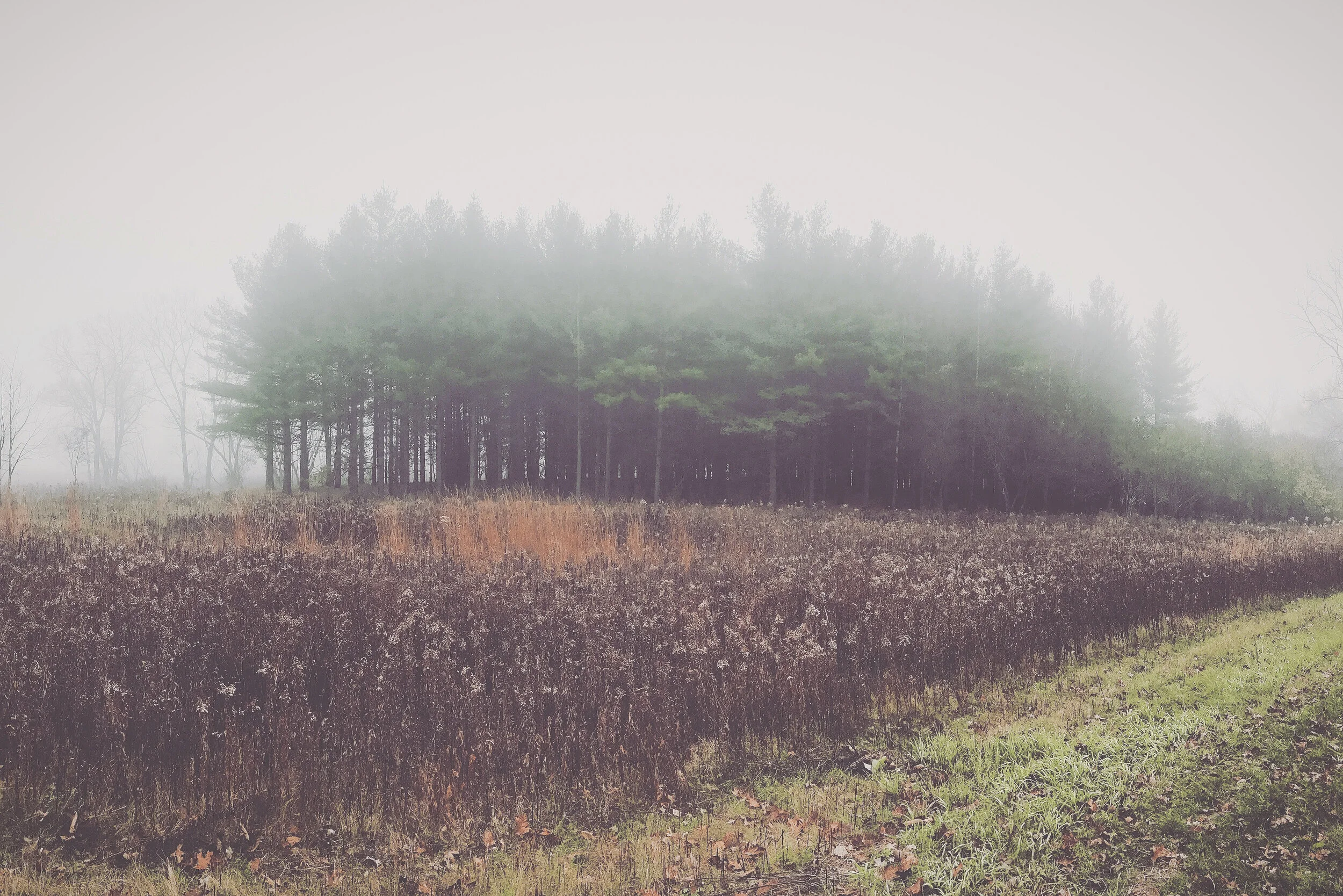 03F3D9C1-1A47-4555-9CC2-DD722589C661