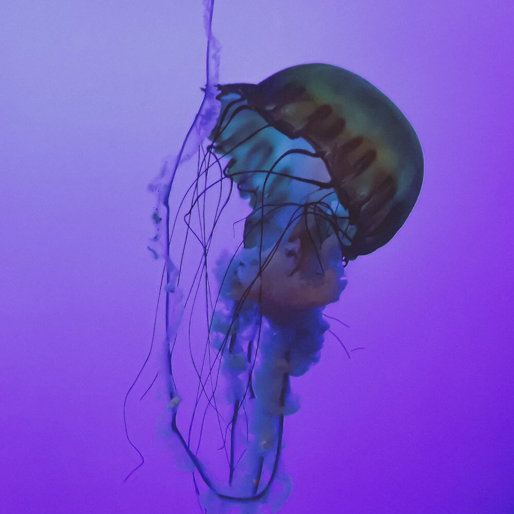 3D667720-453E-4F58-88B3-96962BA80B85.jpeg
