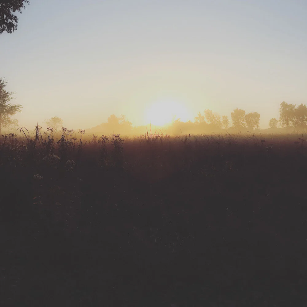 4D93C6F0-B363-4F4B-8596-13164D536305.jpeg