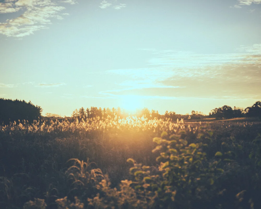 B163A9EC-59F0-47C7-85B5-5BD930858B21.jpeg