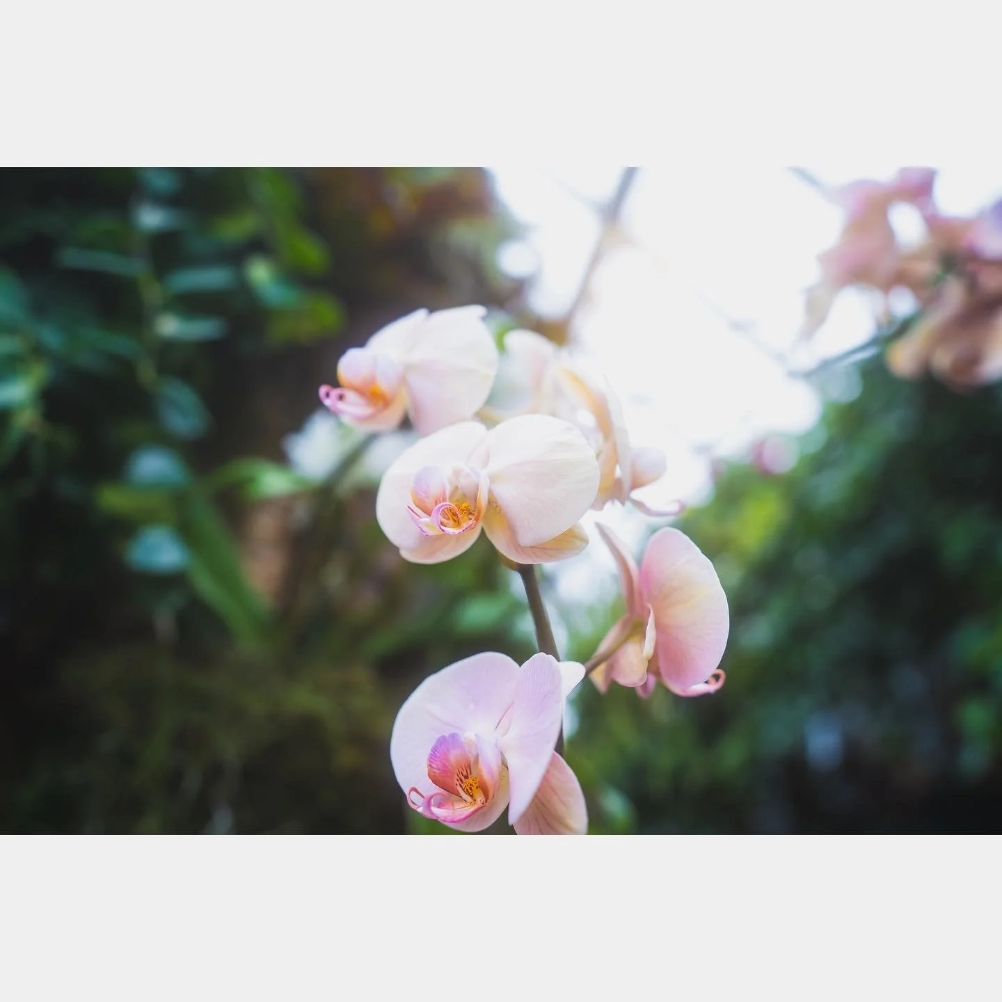 11EBF86F-25FC-4D00-92DC-6E8B9B458F3E.jpeg