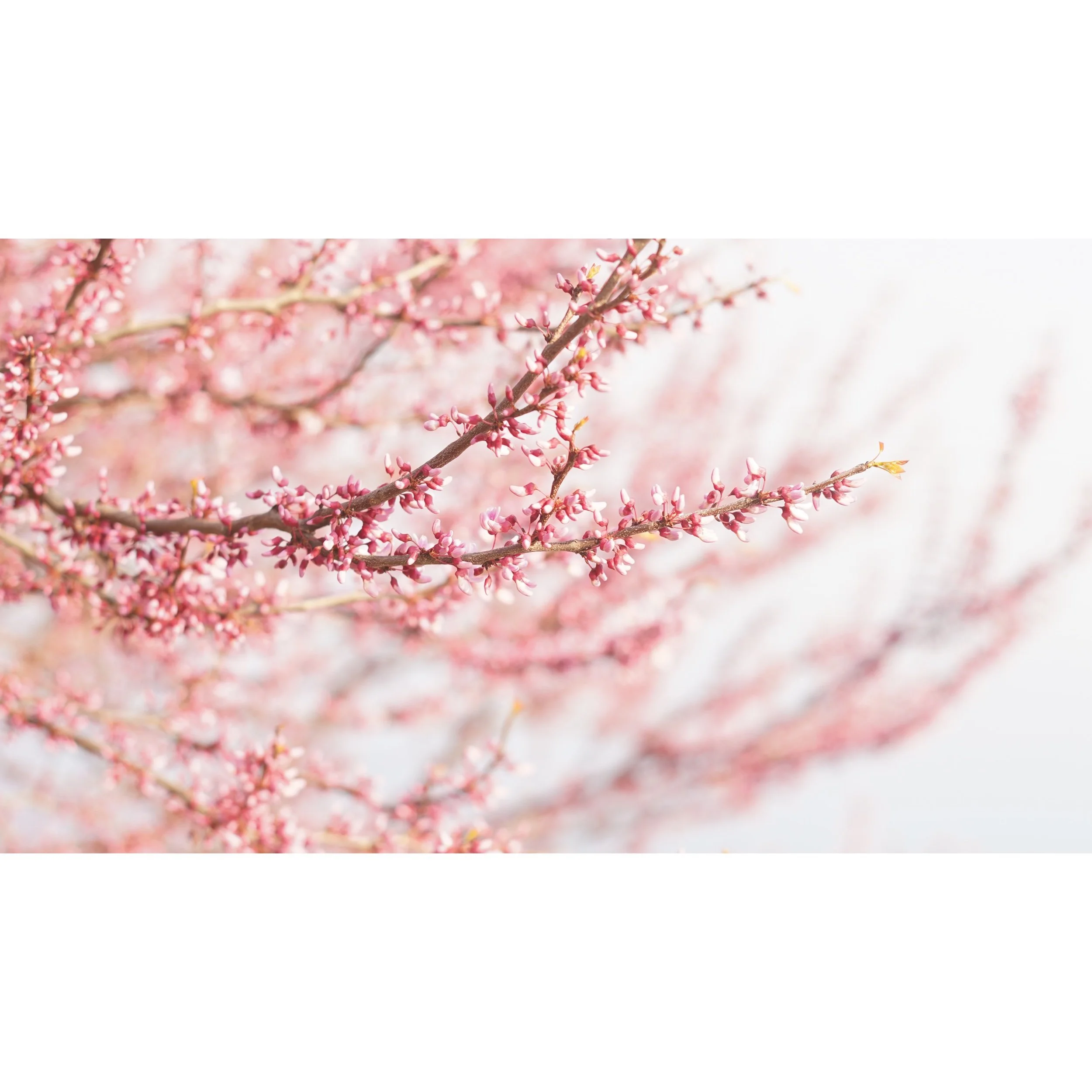 F1A38139-5B3E-4881-BABC-81EE41C05C09.jpeg