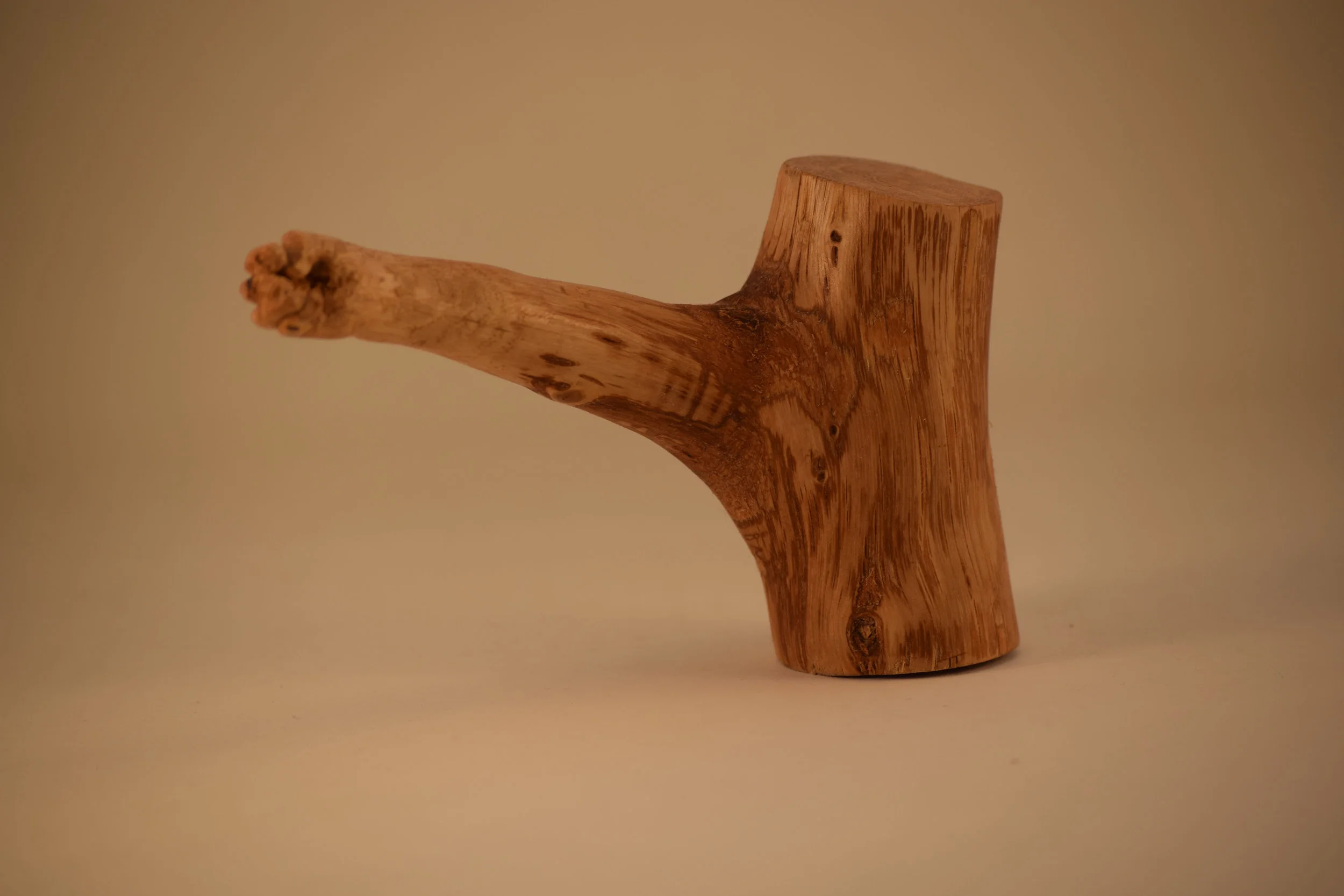 Man Resigned to Becoming a Tree