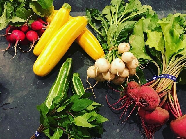 👀 at this bountiful booty 🏴&zwj;☠️ 🏴&zwj;☠️ of veggies we just scooped up for our 1st #organic share from @silverwoodfarm 🚜 🚜 🚜
#radishes
#zuchinni 
#hakureiturnips
#saladturnips
#beets
#bokchoy
#kale 
#saladgreens 
#arugula
#mint 
all harveste