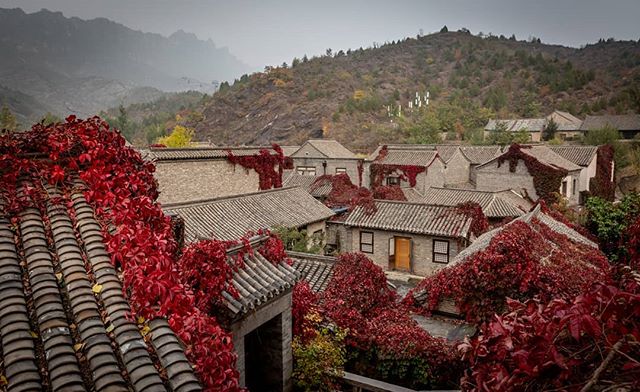 Gubei in the autumn. .
.
.
.
.
.
.
.
.
.
.
.
.
#travelchina #traveltheworld #backpacking #wanderlust #theglobeisbeautiful #travelphoto #travelphotography #travelblogger #landscapephotography #canon #canon5diii #canonphotography #natgeo #nationalgeogr