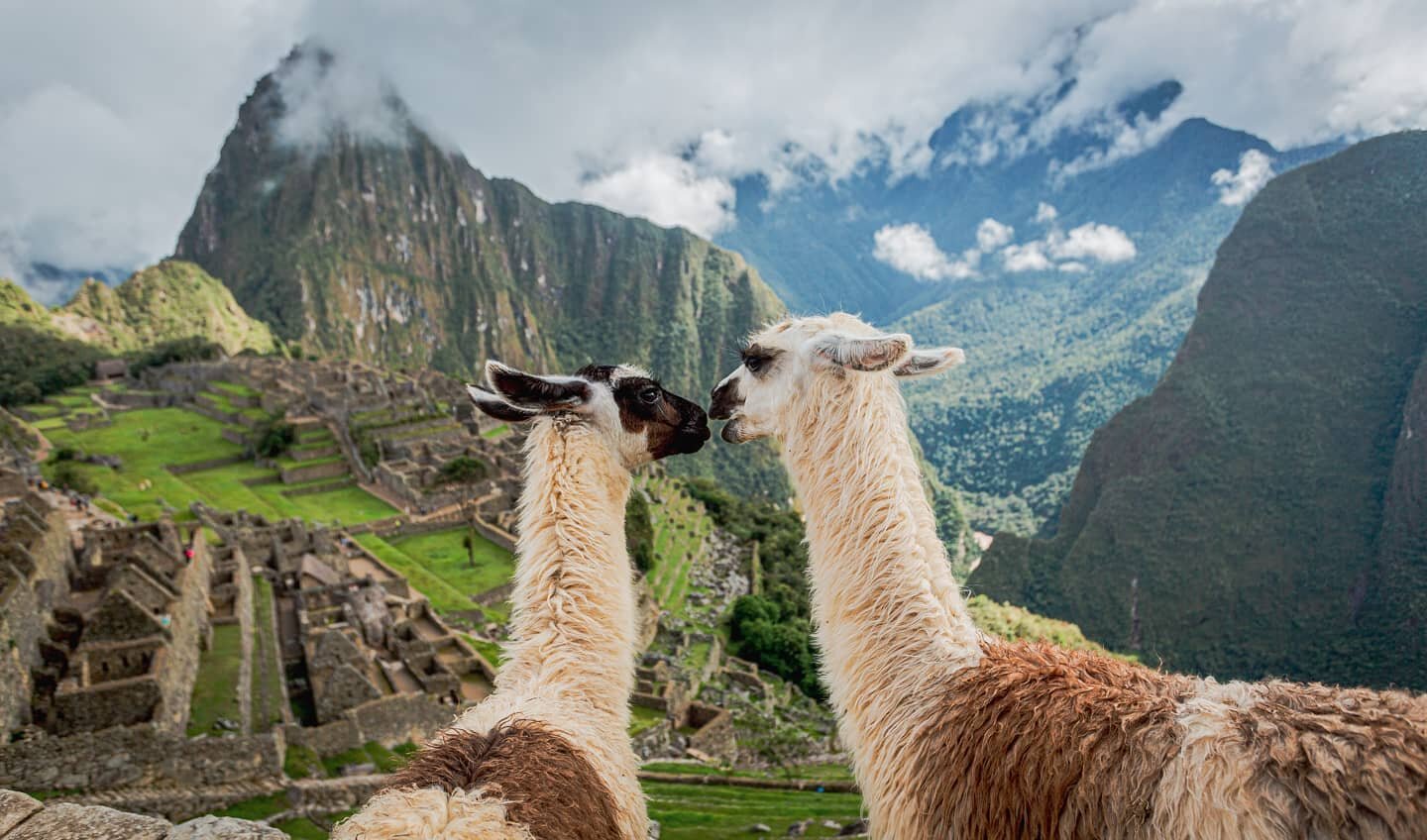 Machu Picchu in February.
.
.
.
.
.
.
.
.
.
.
.
.
.
#natgeo  #natgeoyourshot  #machupicchu #travelperu  #travelperu🇵🇪 #llamasofinstagram  #llama  #traveltheworld #wanderlust #llamalove  #inca  #incas  #machupicchu  #travelsouthamerica #incaruins  #