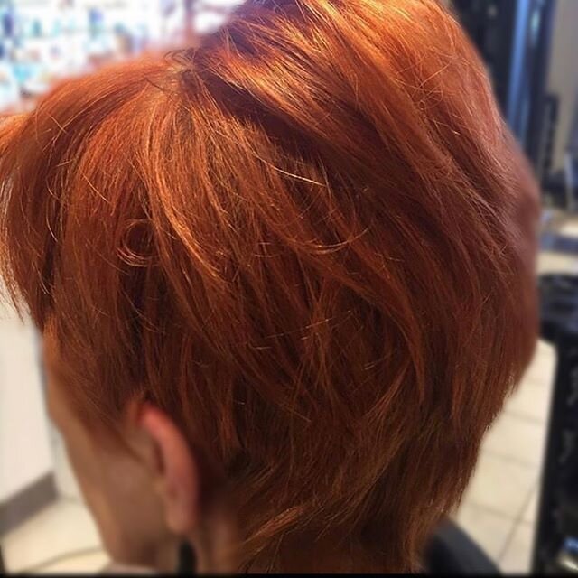 Back to natural grey~ we spent years colouring this beautiful copper red~ no colour needed anymore! 
6 hours to achieve this gorgeous end result.
. . .
#intemperancehair #intemperance #shadeseq #lakmehaircolor #stalbertsalon #stalberthair #yegcolor #