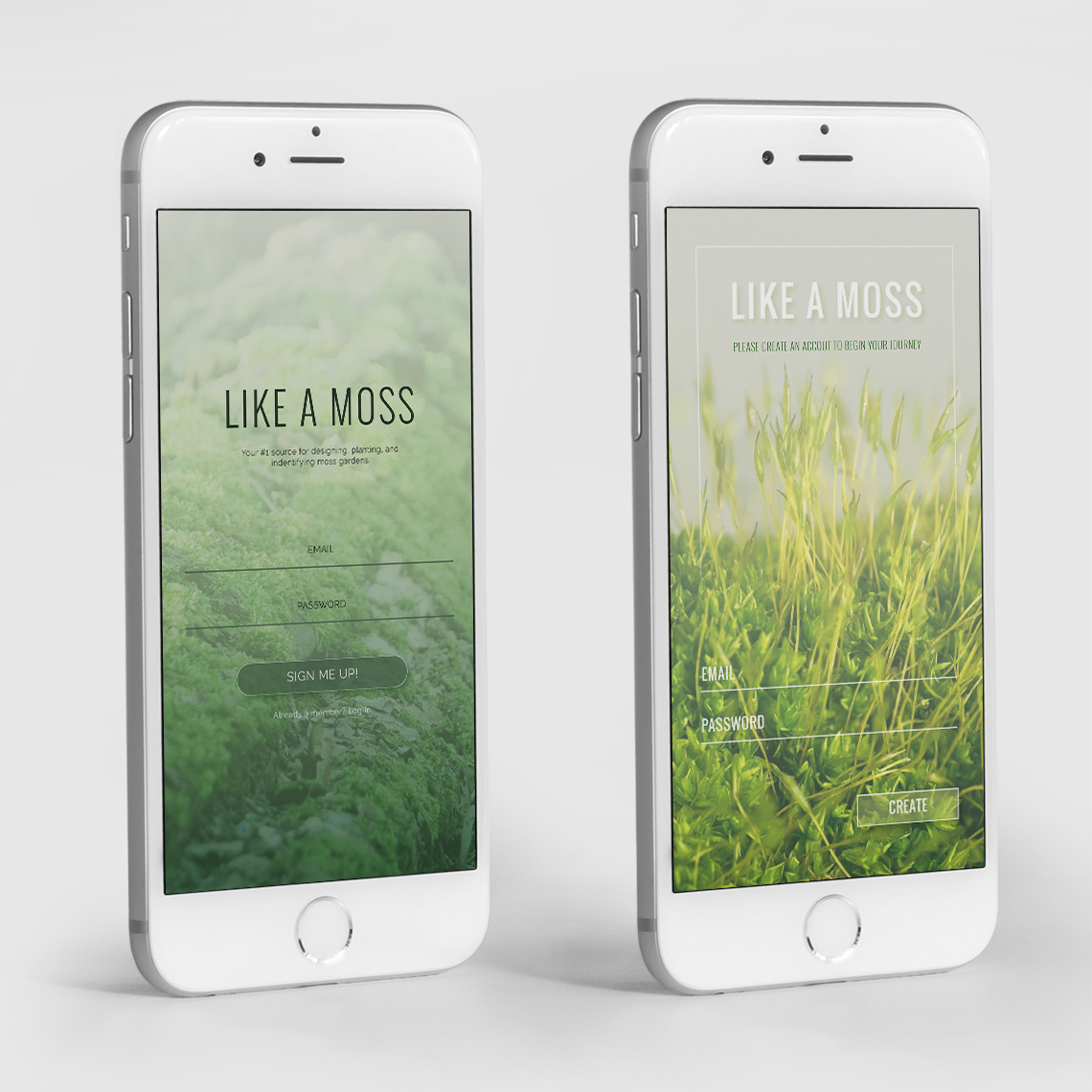 'Like a Moss' is a mock brand that created for this challenge.
