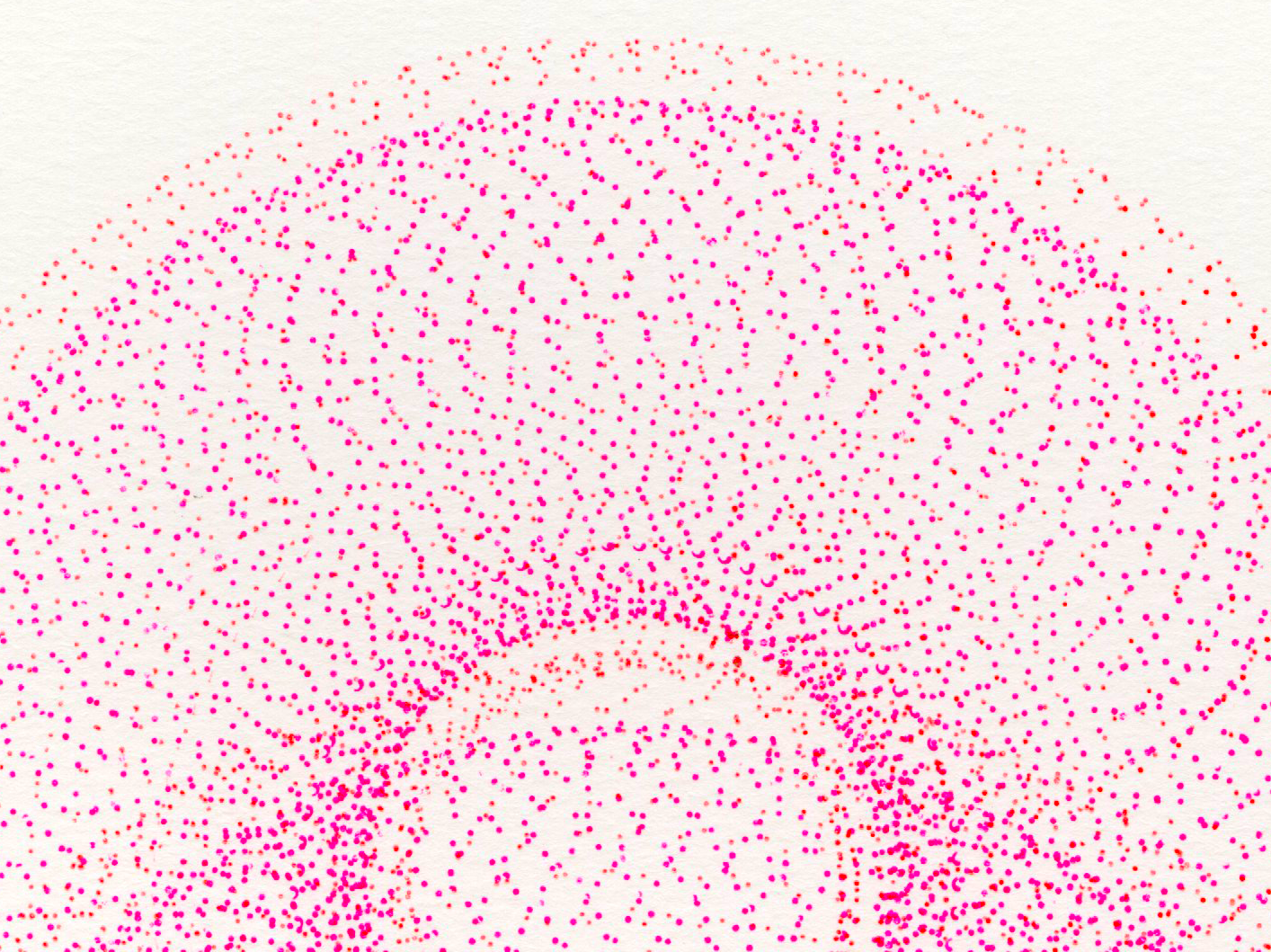 04_periods_crop.png