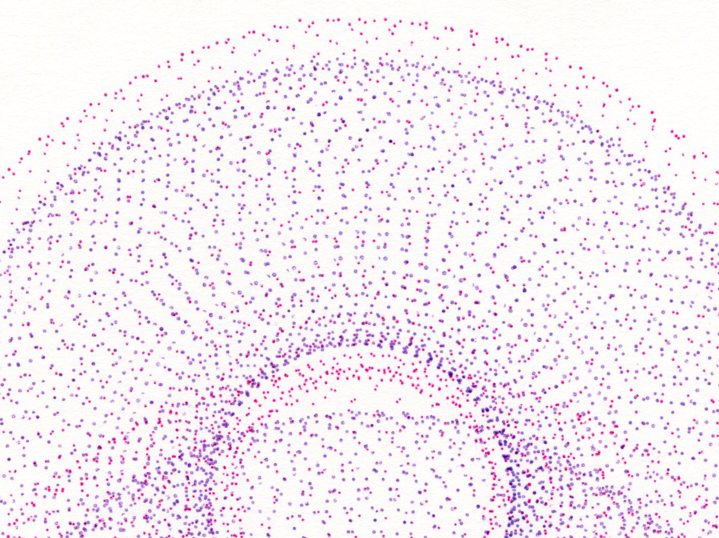 03_periods_crop.png
