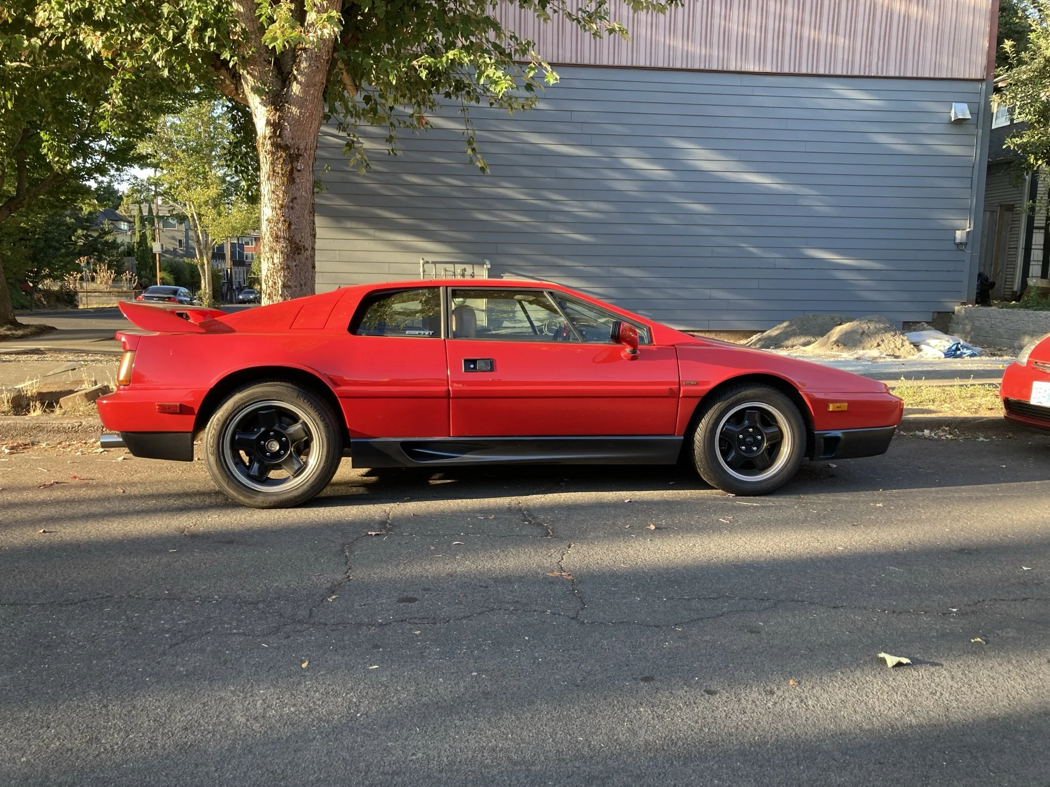 IMG_1387.JPEG
