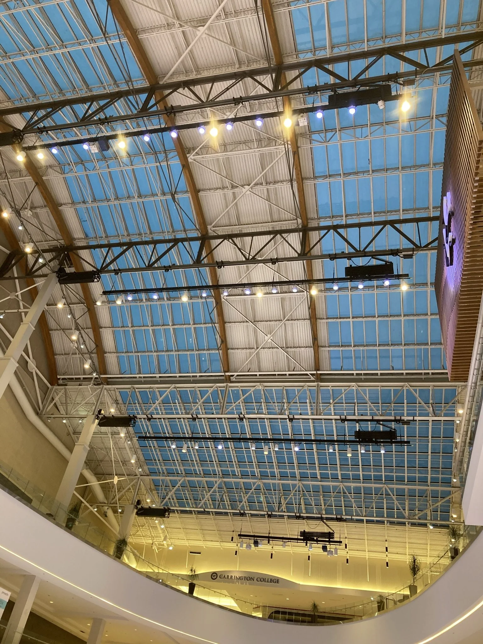 IMG_0336.JPEG