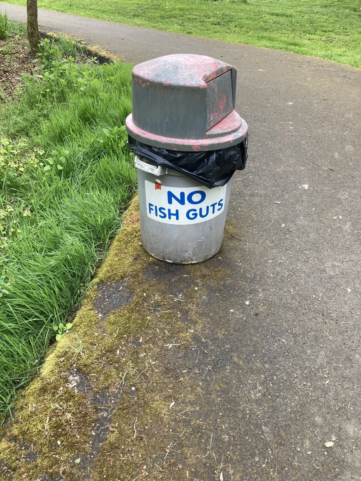 IMG_0773.JPEG