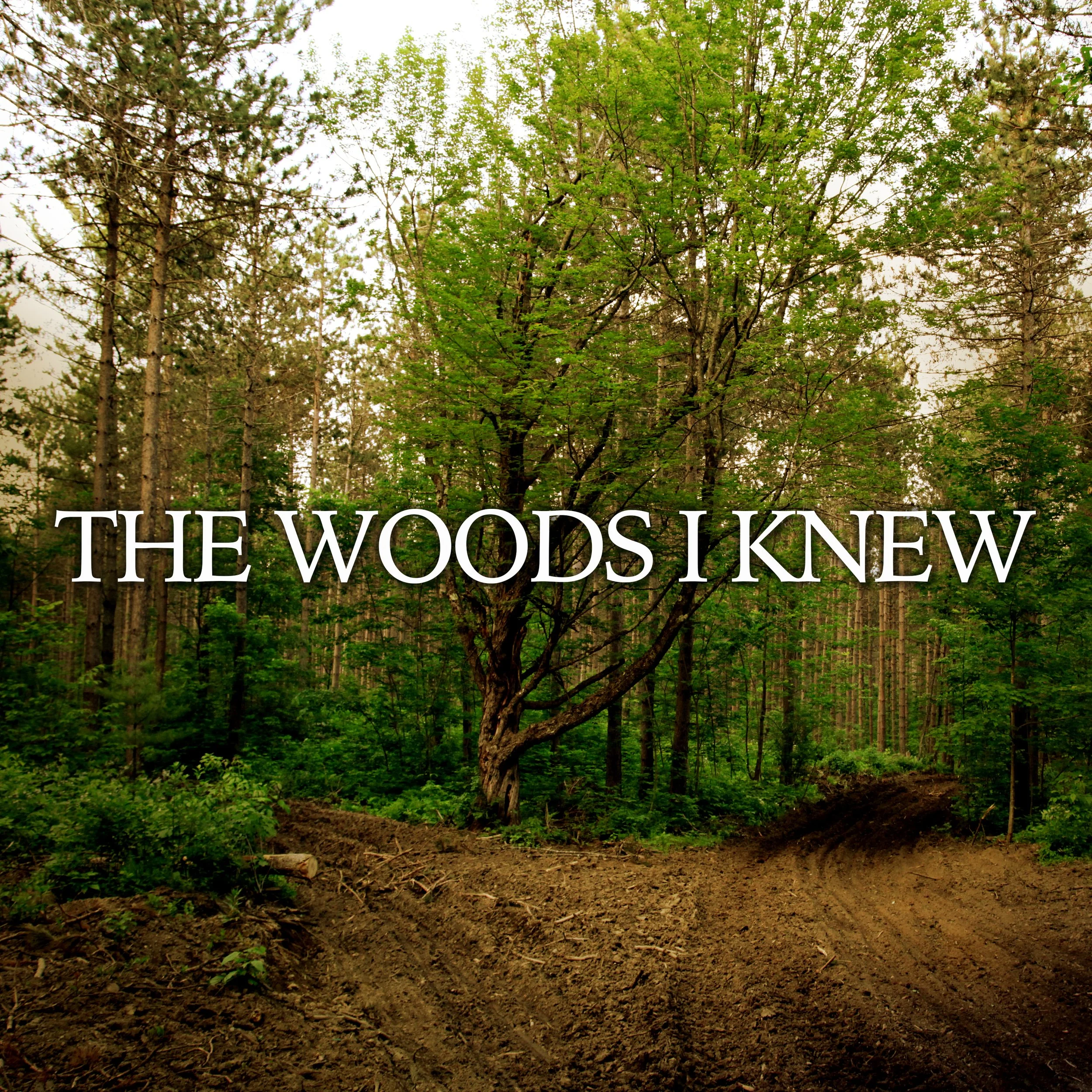 The Woods I knew episode artwork