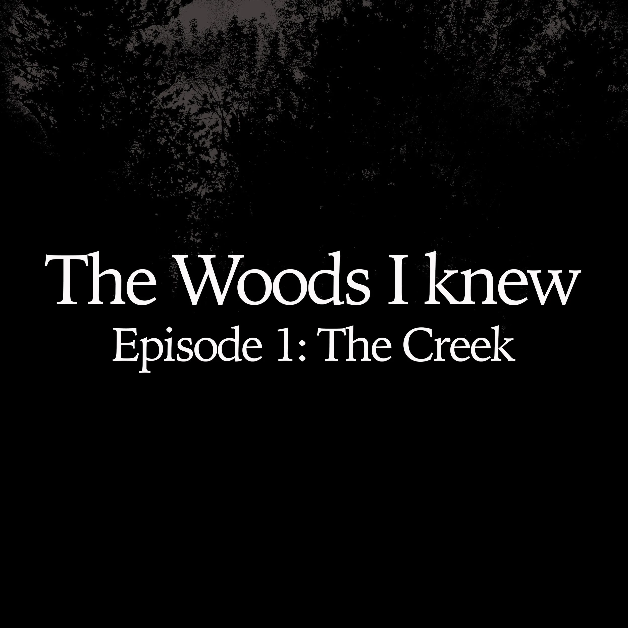 The Woods I Knew : Episode 1 - The Creek
