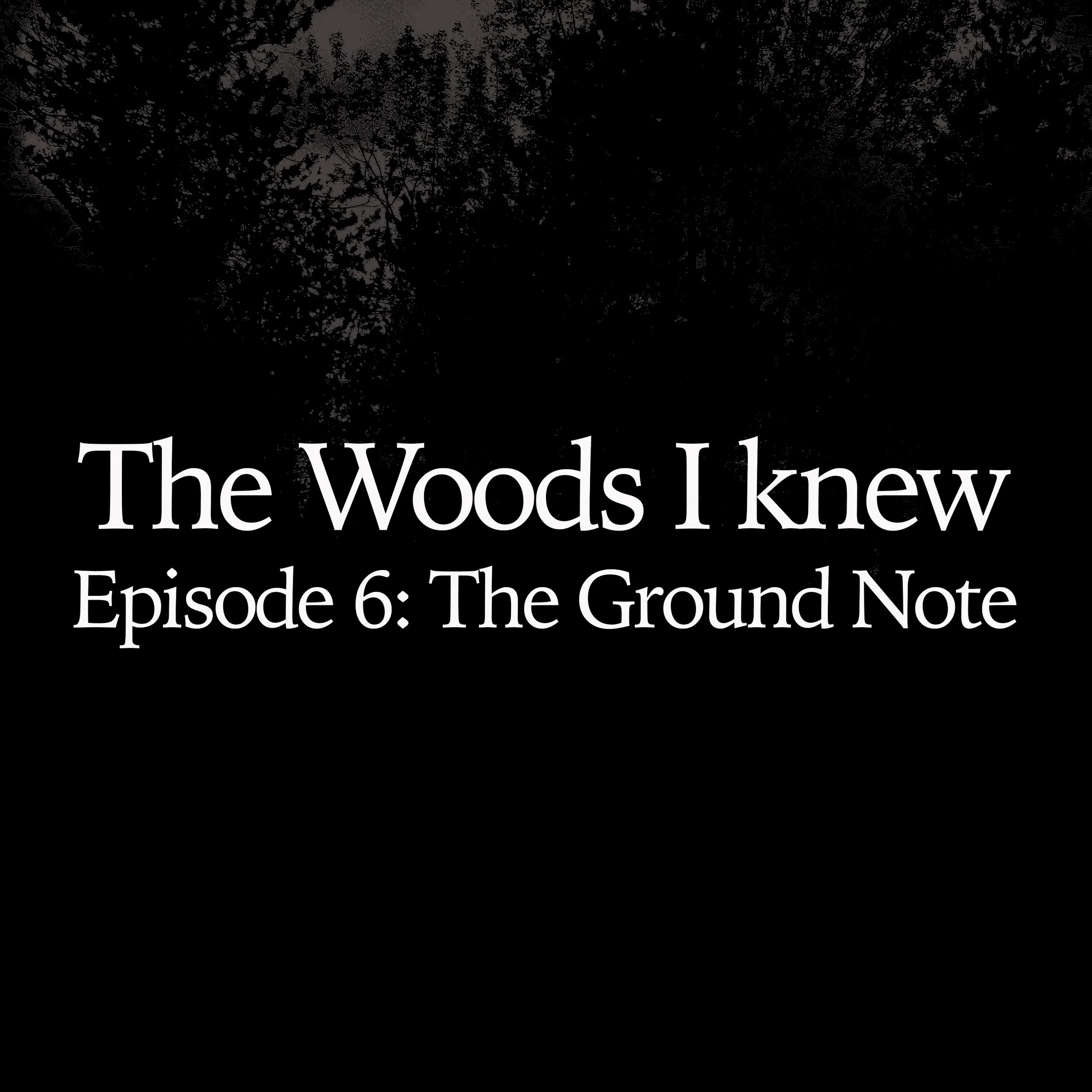 The Woods I Knew : Episode 6 - The Ground Note