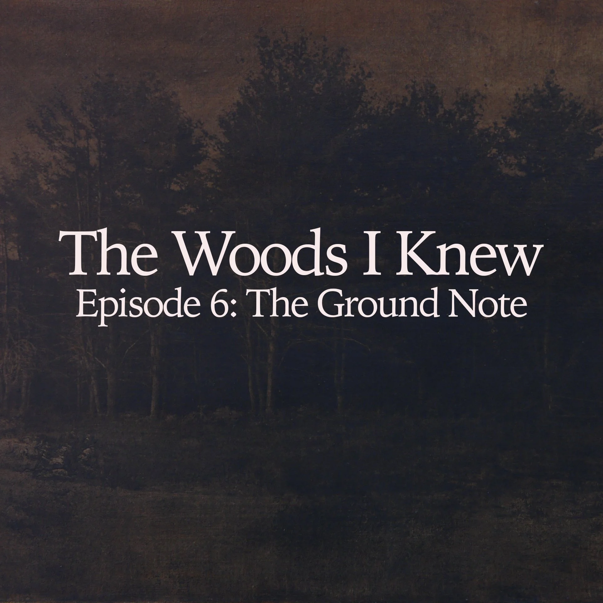 The Woods I Knew : Episode 6 - The Ground Note