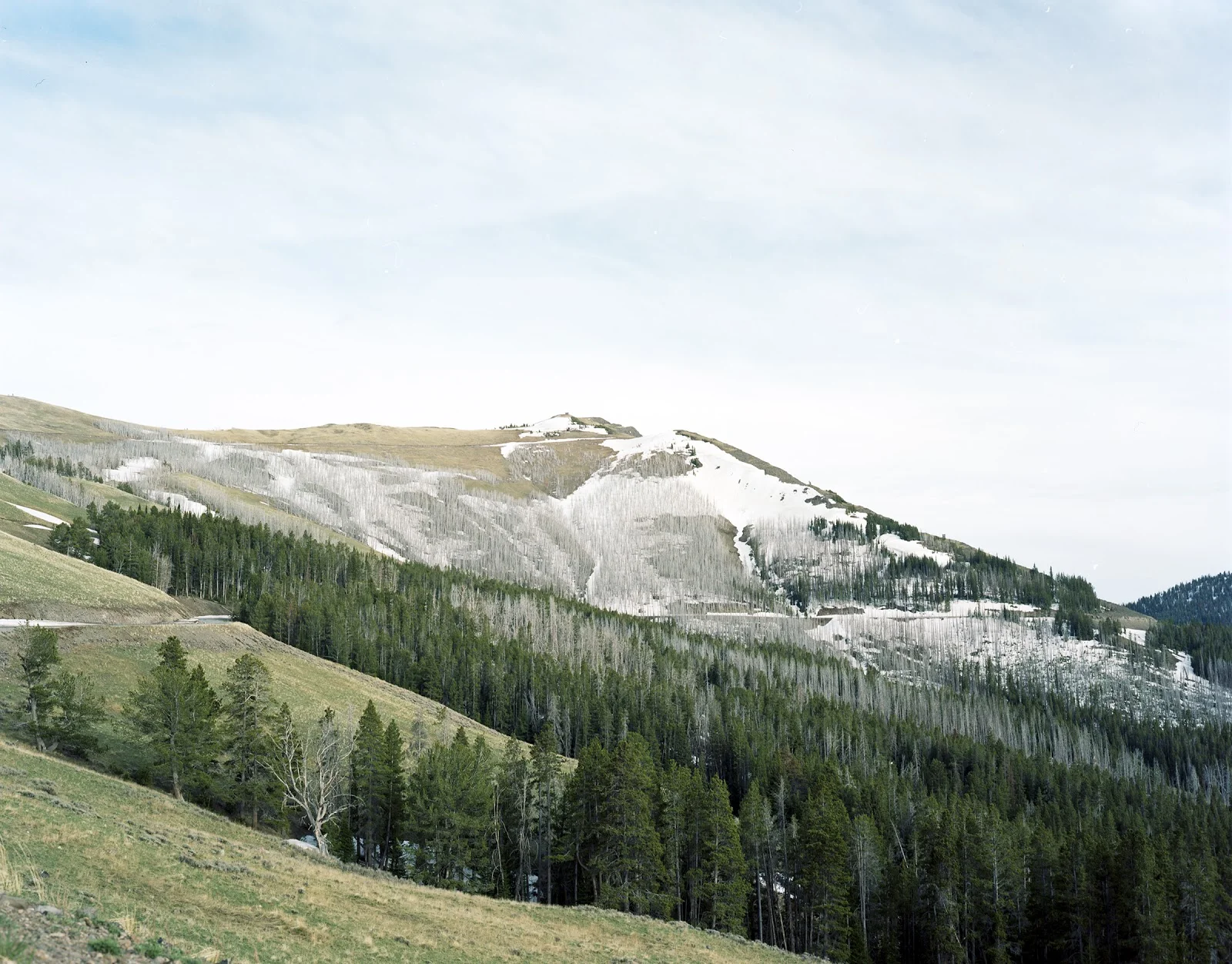 Yellowstone National Park | 2009