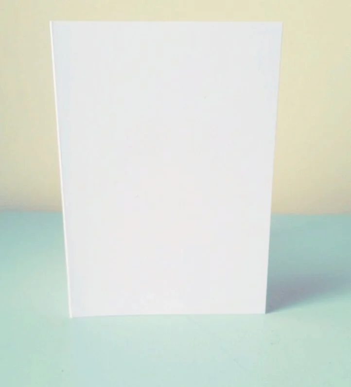 Image-16.jpg