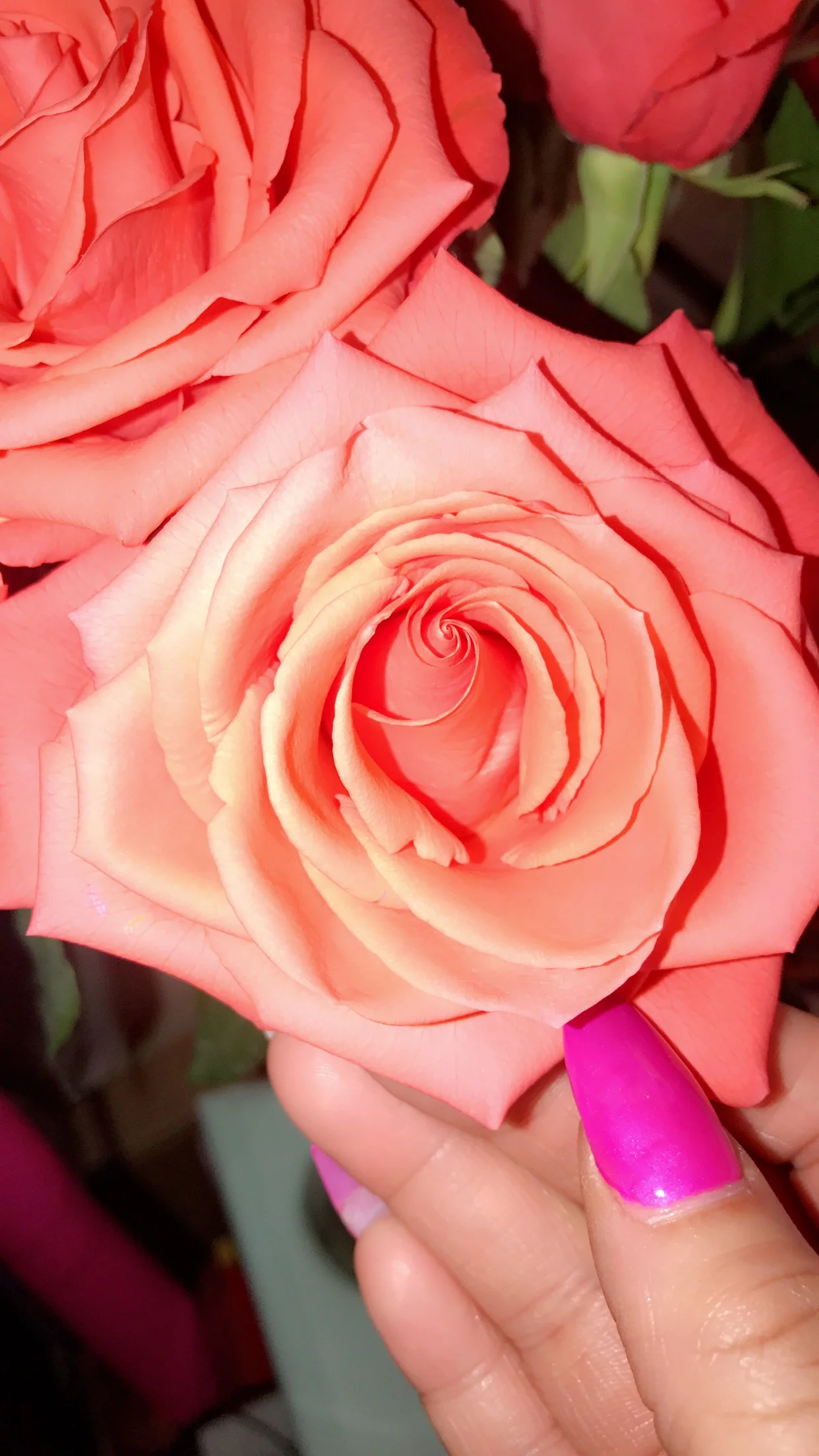 A "Rose is Still A Rose"...  R.I.P Aretha Franklin