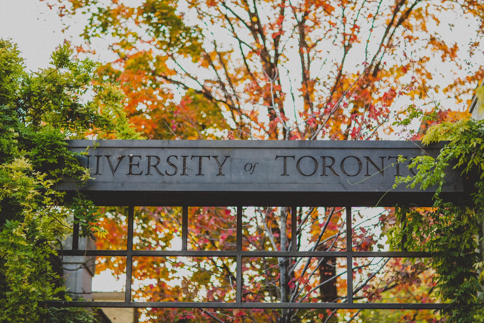 university-of-toronto-engagement-17.jpg