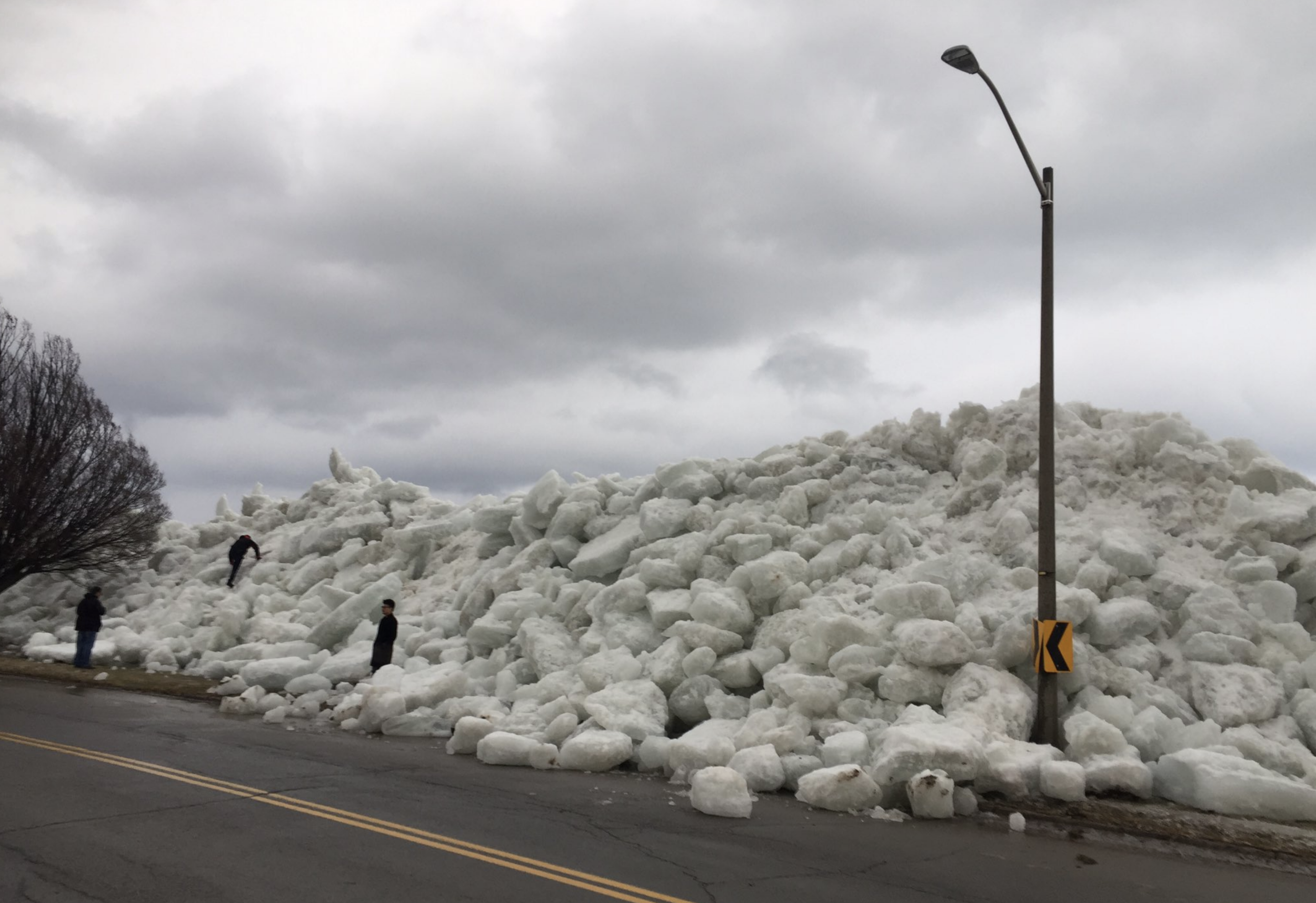 Captura de pantalla 2019-02-28 a la(s) 15.02.32.png