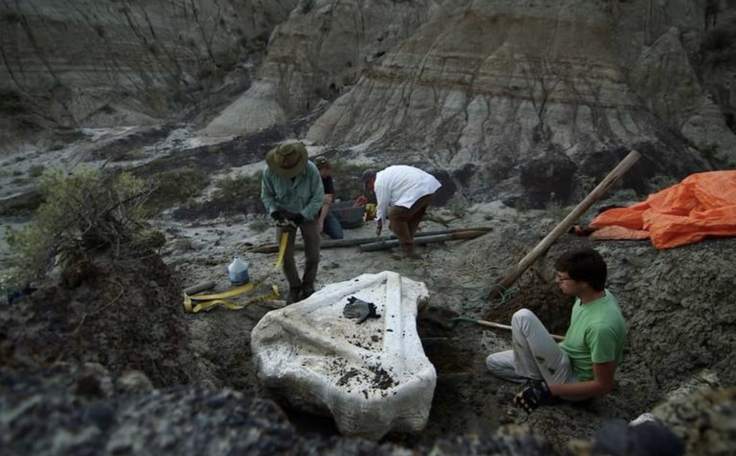 Captura de Pantalla 2019-04-04 a la(s) 18.41.23.png