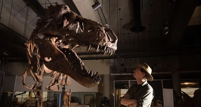 645x344-worlds-biggest-oldest-t-rex-skeleton-found-in-canada-1553527132528.jpg