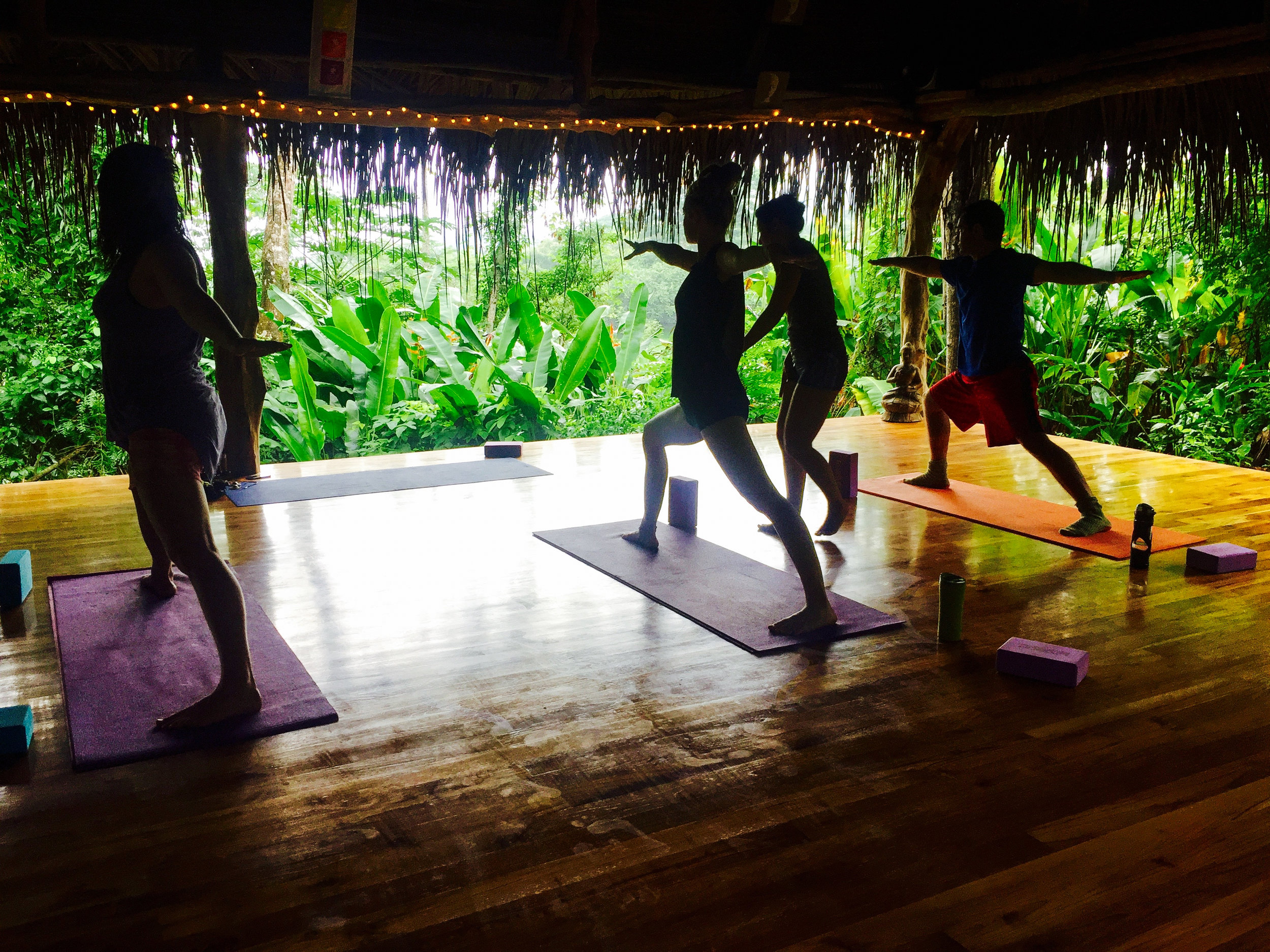 Relax, Reset, Reawaken Wild Sun Jungle Resort