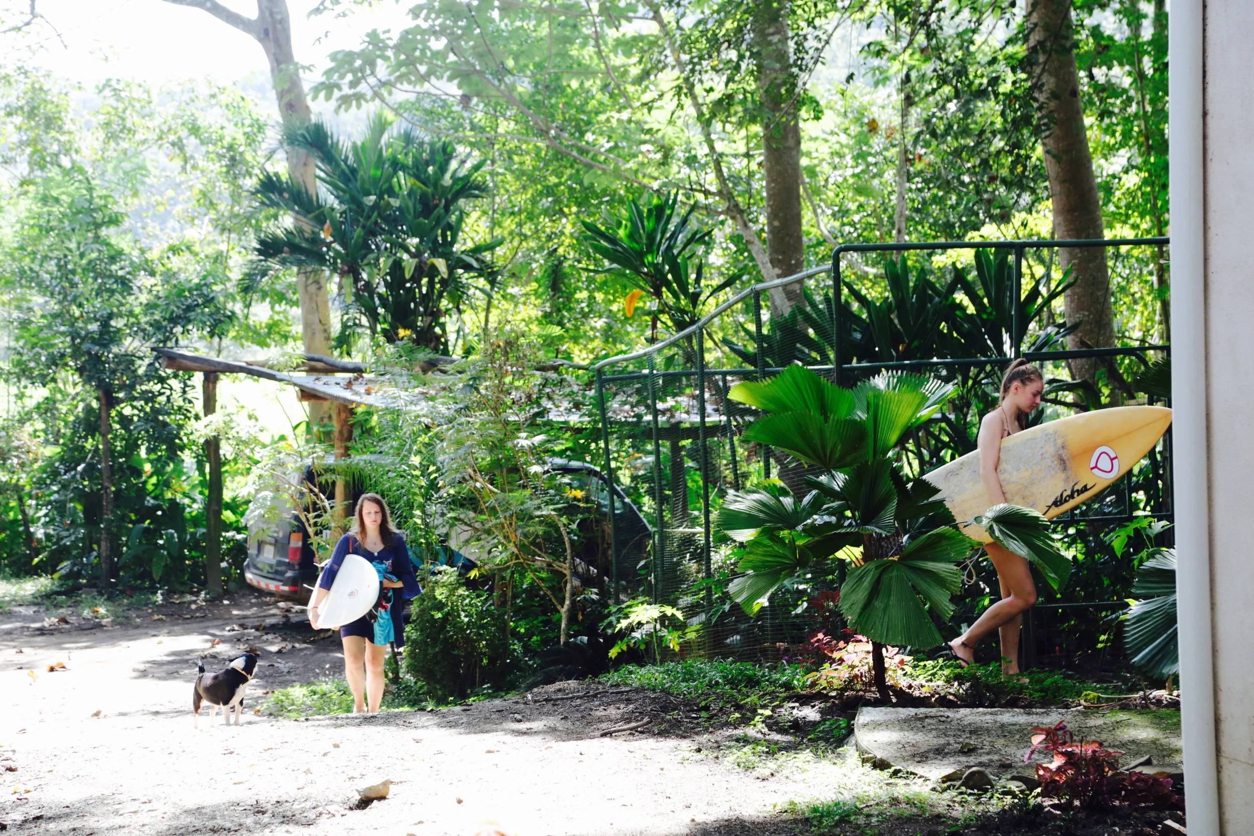 Accommodation — Wild Sun Jungle Resort